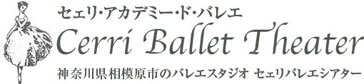 ギャラリー - 神奈川県相模原市のバレエスタジオ、セェリバレエシアター